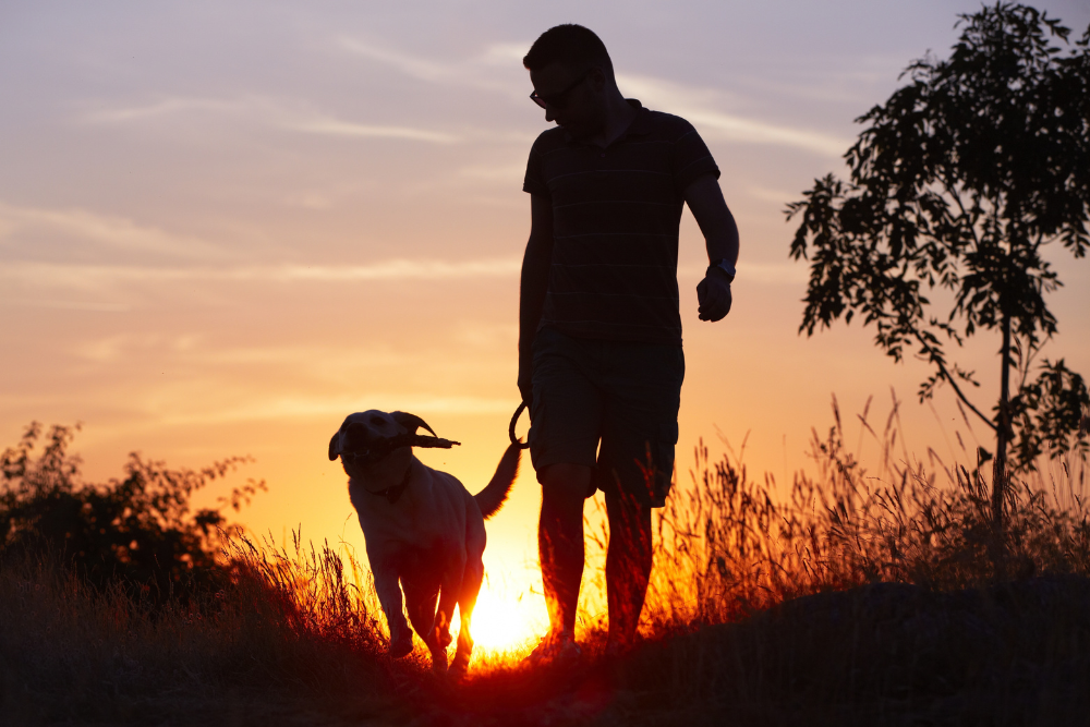 How Dog Clinical Trials Help Us Live Longer and Healthier Lives